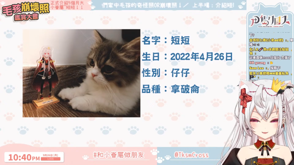 もふもふデレデレ鑑賞大会!+うちのちっちゃな家族達!!【香港Vtuber/月島クロス】 17 もふもふデレデレ鑑賞大会!+うちのちっちゃな家族達!!【香港Vtuber/月島クロス】
