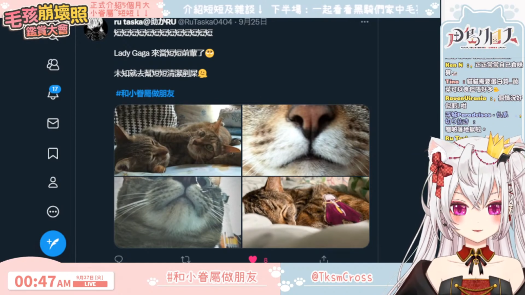 もふもふデレデレ鑑賞大会!+うちのちっちゃな家族達!!【香港Vtuber/月島クロス】 19 もふもふデレデレ鑑賞大会!+うちのちっちゃな家族達!!【香港Vtuber/月島クロス】